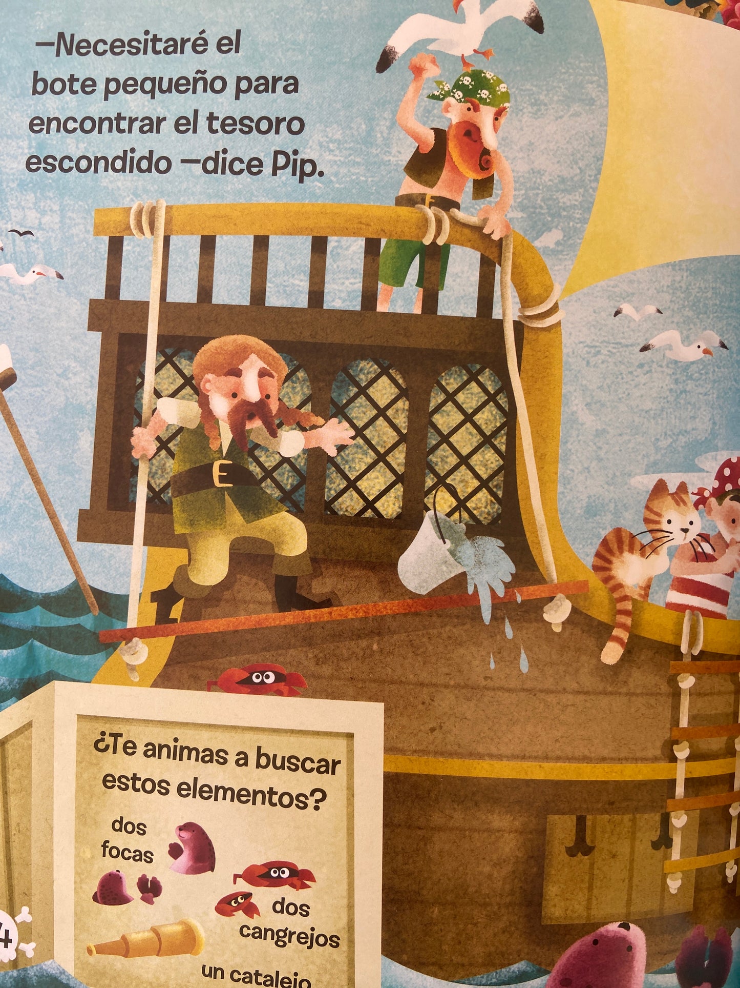 Busca y encuentra piratas